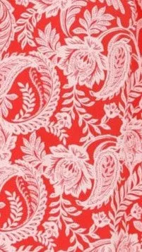 Adalynn Mini Dress - Paisley Print