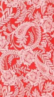 Niva Short Sleeve Top - Paisley Print