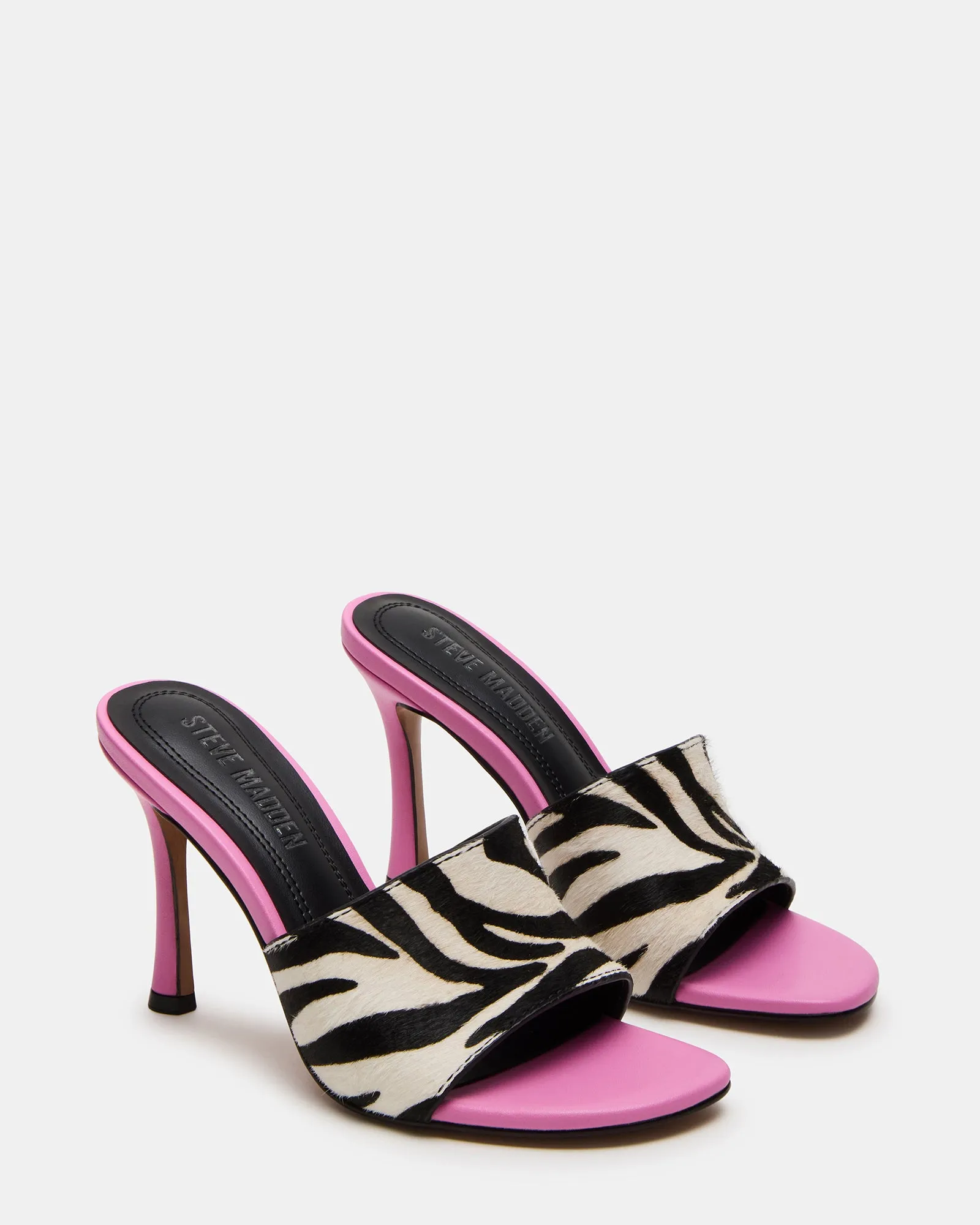 PAULA ZEBRA