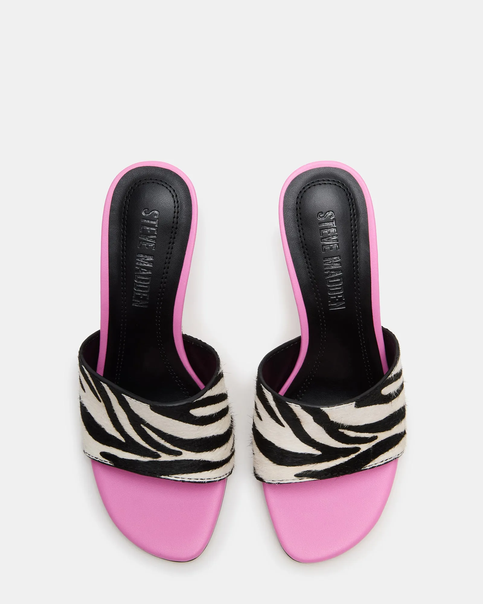 PAULA ZEBRA