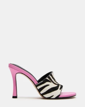 PAULA ZEBRA