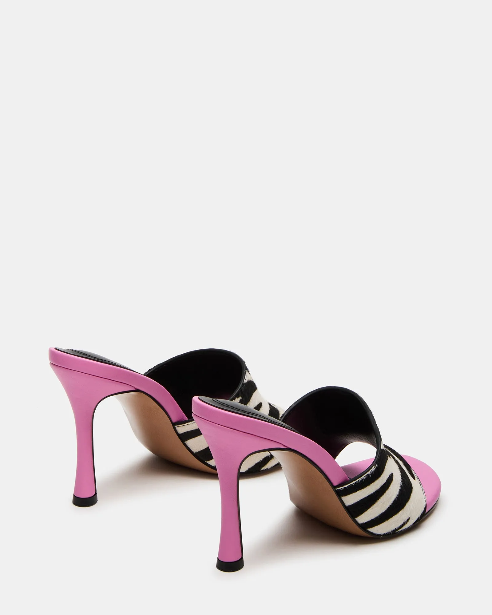 PAULA ZEBRA